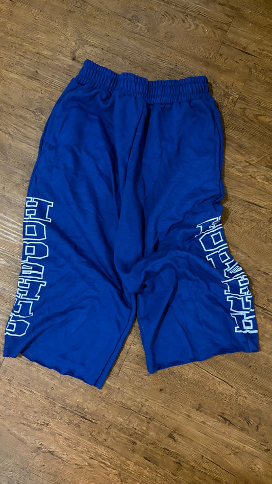HopeHub Gaucho Shorts